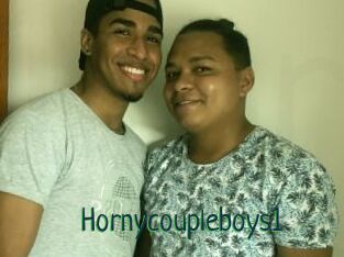 Hornycoupleboys1