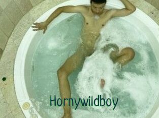 Hornywildboy