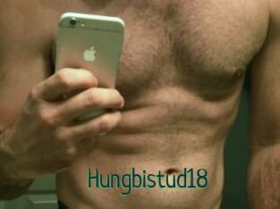 Hungbistud18