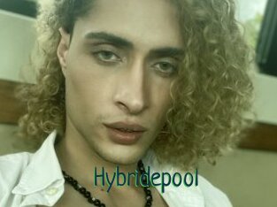 Hybridepool