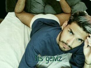 Its_gelviz