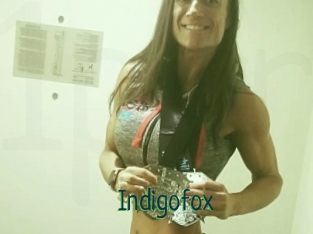 Indigofox