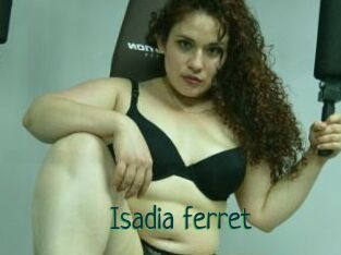 Isadia_ferret