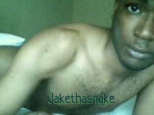 Jake_tha_snake
