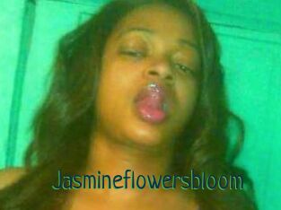 Jasmineflowersbloom