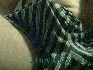 Johnnyb8675