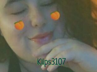 Klips3107