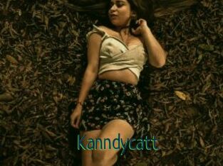Kanndycatt