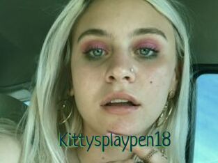 Kittysplaypen18