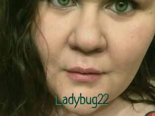 Ladybug22