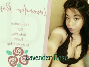 Lavender_Rose