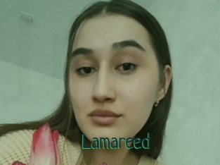 Lamareed