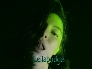 Leilabodge