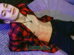 Liammalloy