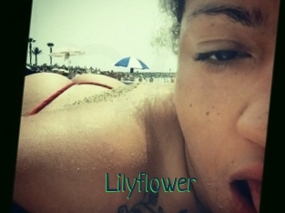 Lilyflower
