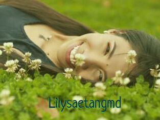 Lilysaetangmd