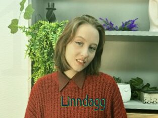 Linndagg