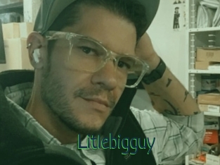 Litlebigguy