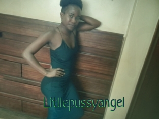 Litllepussyangel