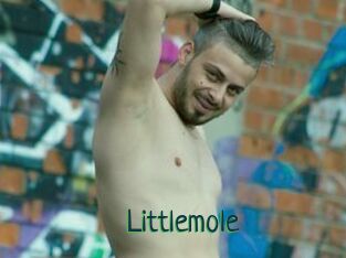 Littlemole