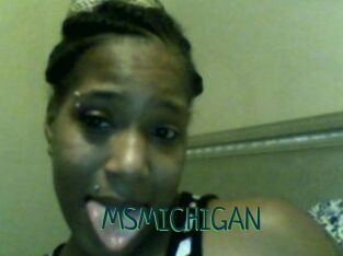 MSMICHIGAN