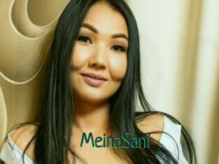 MeinaSani