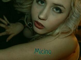 Micino