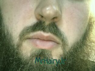 MrHairyJr