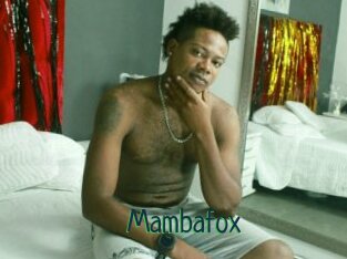 Mambafox