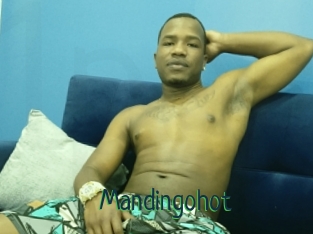 Mandingohot