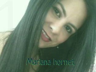 Mariana_hornet