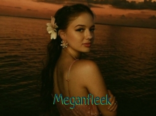 Meganfleek