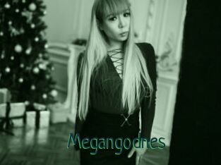 Megangodnes