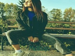 Mellisajo
