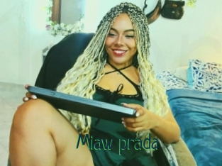Miaw_prada