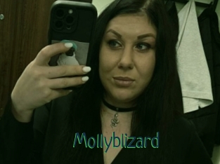 Mollyblizard