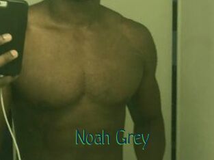 Noah_Grey