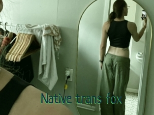 Native_trans_fox