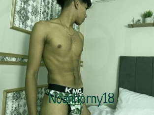 Noahhorny18