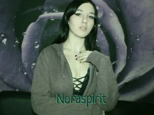 Noraspirit