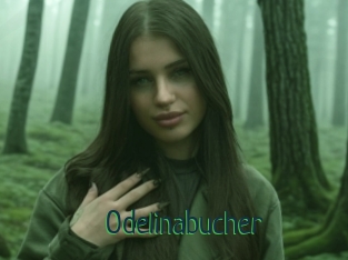 Odelinabucher