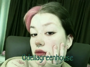 Odellagreenhouse