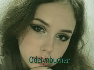 Odelynbucher