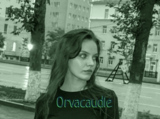 Orvacaudle