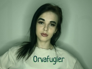 Orvafugler