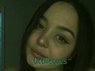 Ottiliegales