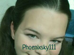Phoenixsky111