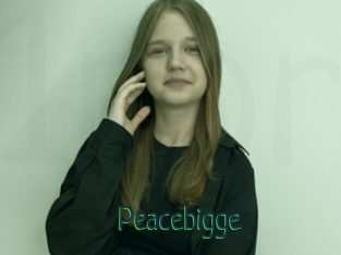 Peacebigge