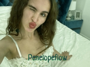 Penelopeflow