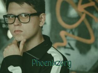Phoenixzorg